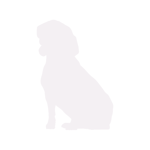 Silhouette de chien Beagle assis