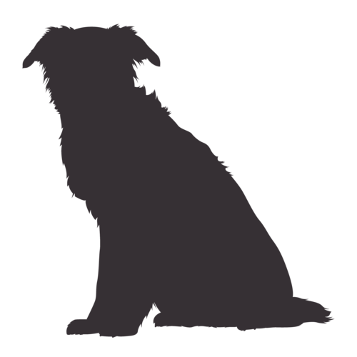 Silhouette de chien Border Collie assis