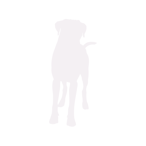 Silhouette de chien Boxer debout
