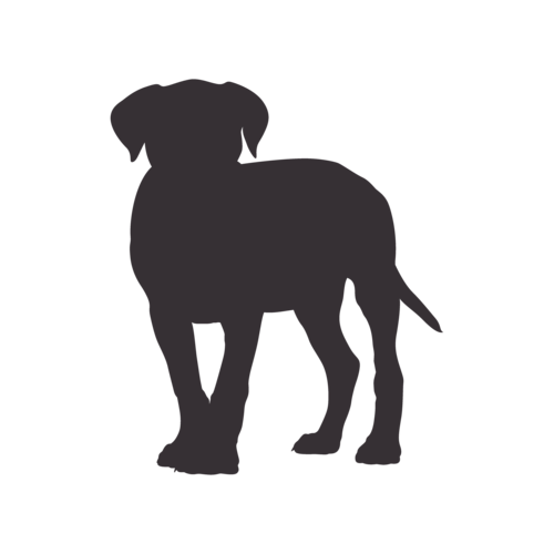Silhouette de chien Cane Corso debout