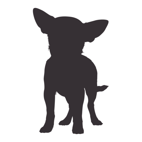 Silhouette de chien Chihuahua debout