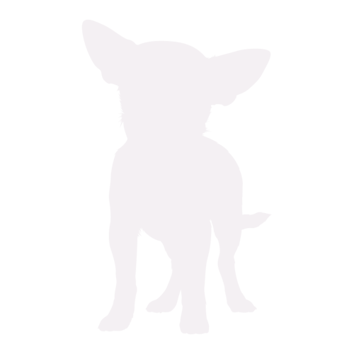 Silhouette de chien Chihuahua debout
