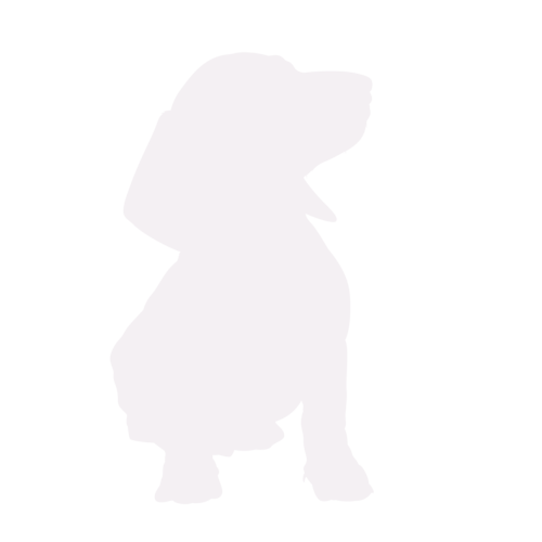 Silhouette de chien Teckel assis