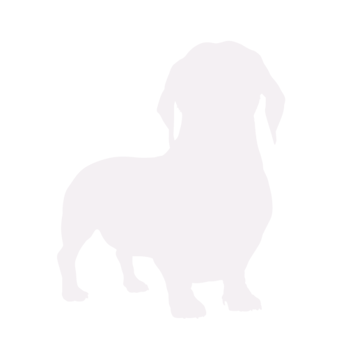 Silhouette de chien Teckel debout