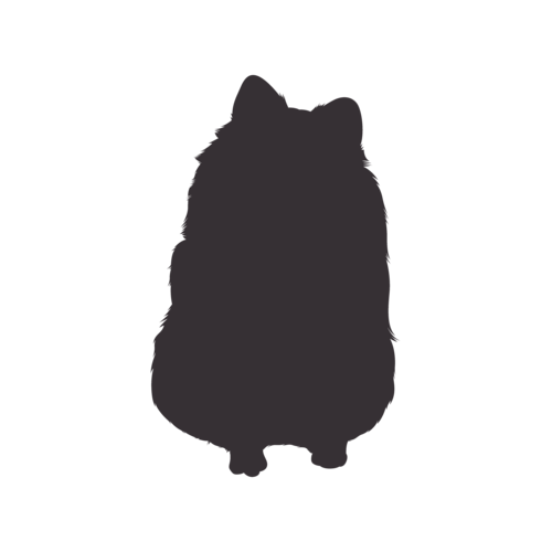 Silhouette de chien Spitz Nain assis