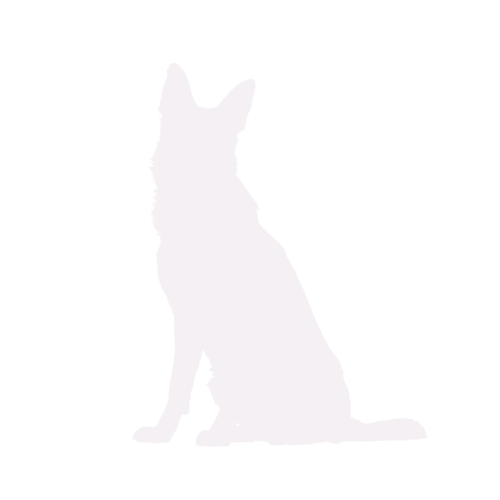 Silhouette de chien Berger Allemand assis