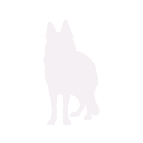 Silhouette de chien Berger Allemand debout
