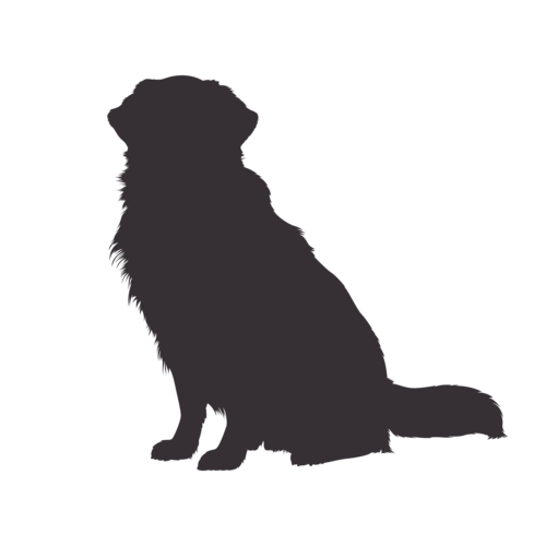 Silhouette de chien Golden Retriever assis