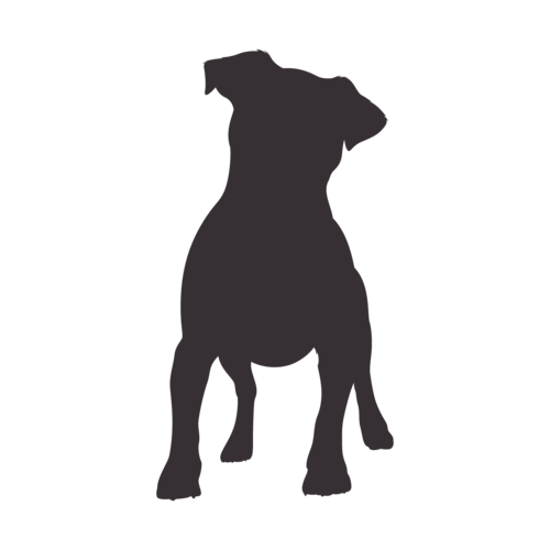 Silhouette de chien Jack Russell Terrier debout
