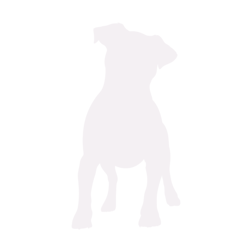 Silhouette de chien Jack Russell Terrier debout