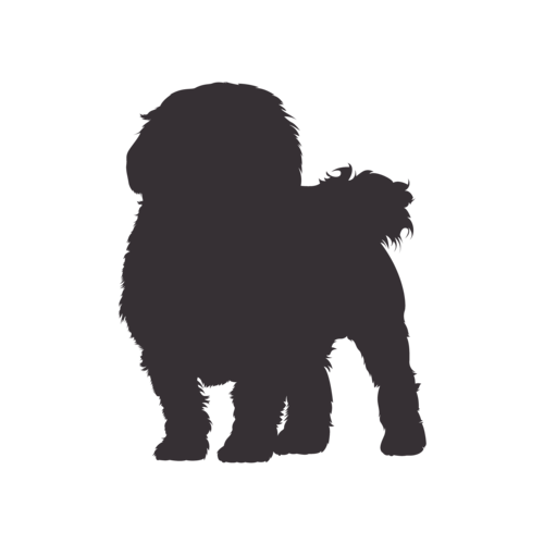 Silhouette de chien Bichon Maltais debout