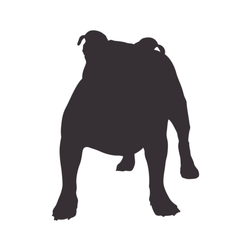 Silhouette de chien Old English Bulldog debout