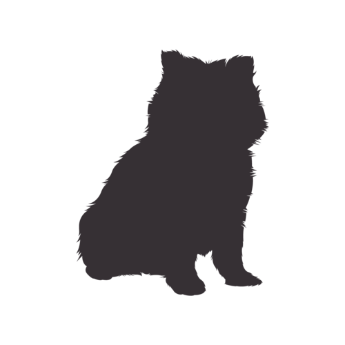 Silhouette de chien Poméranien assis