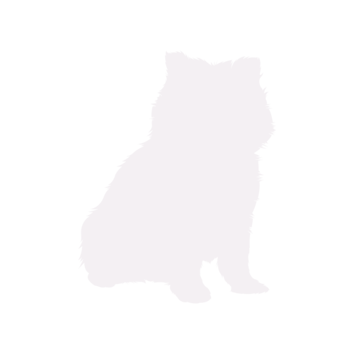 Silhouette de chien Poméranien assis
