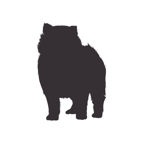 Silhouette de chien Poméranien debout