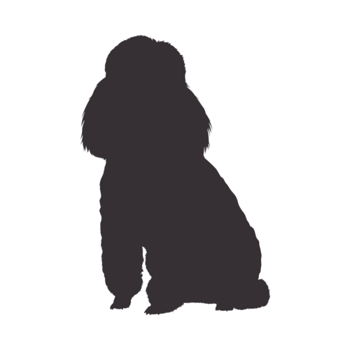 Silhouette de chien Caniche assis
