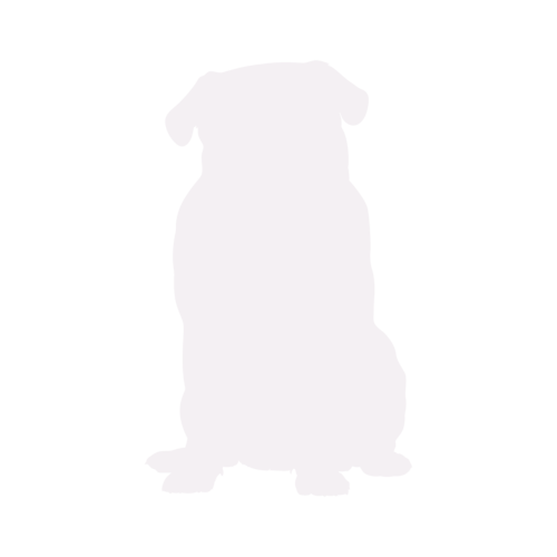 Silhouette de chien Carlin assis