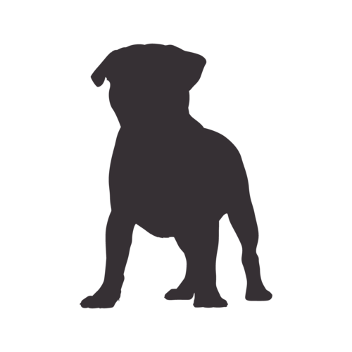 Silhouette de chien Carlin debout