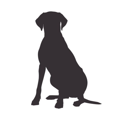 Silhouette de chien Rhodesian Ridgeback assis