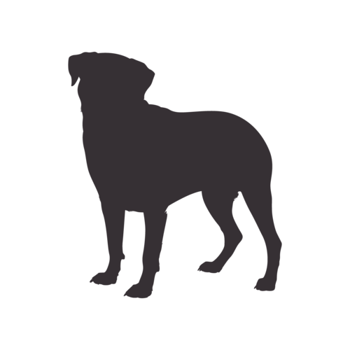 Silhouette de chien Rottweiler debout
