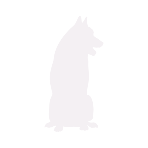 Silhouette de chien Husky Sibérien assis