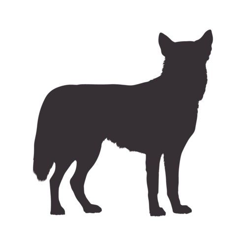 Silhouette de chien Husky Sibérien debout