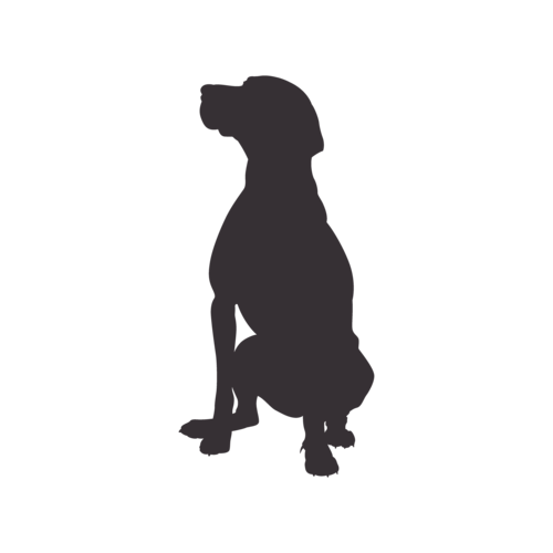 Silhouette de chien Vizsla Hongrois assis