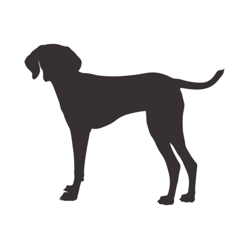 Silhouette de chien Vizsla Hongrois debout