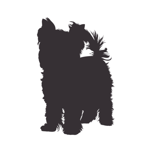 Silhouette de chien Yorkshire Terrier debout